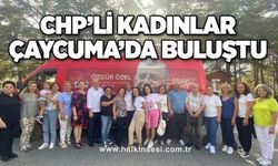 CHP’li Kadınlar Çaycuma’da buluştu