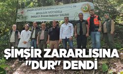 Şimşir zararlısına  "DUR" dendi