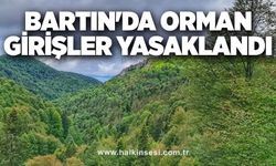 Bartın'da Orman girişler yasaklandı