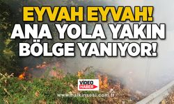 Eyvah eyvah! Ana yola yakın bölge yanıyor!