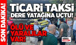 Ticari taksi dere yatağına uçtu!