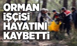 Orman işçisi hayatını kaybetti