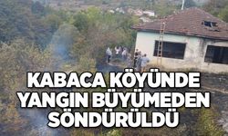 KABACA KÖYÜNDE YANGIN BÜYÜMEDEN SÖNDÜRÜLDÜ