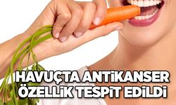 Havuçta antikanser özellik tespit edildi