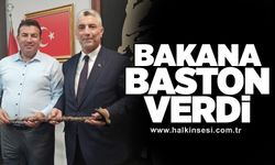 Bakana Baston verdi