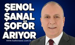 Şenol Şanal şoför arıyor