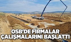 OSB'de firmalar çalışmalarını başlattı