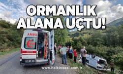 Ormanlık alana uçtu!