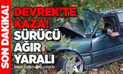 Devrek'te kaza! Sürücü ağır yaralı