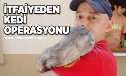 İtfaiyeden kedi operasyonu