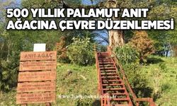 500 YILLIK PALAMUT ANIT AĞACINA ÇEVRE DÜZENLEMESİ