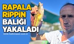 Rapala Rippin Balığı yakaladı