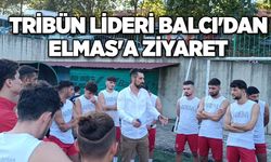 Tribün lideri Balcı'dan Elmas'a ziyaret