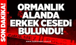 Ormanlık alanda erkek cesedi bulundu!