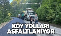 Köy yolları asfaltlanıyor