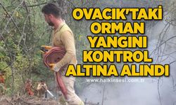 Ovacık'taki orman yangını kontrol altına alındı