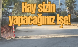 Hay sizin yapacağınız işe!