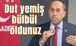 Dut yemiş bülbül oldunuz