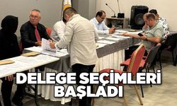 Delege seçimleri başladı