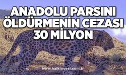 Anadolu parsını öldürmenin cezası 30 milyon