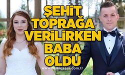 Şehit toprağa verilirken baba oldu