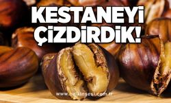 Kestaneyi çizdirdik!