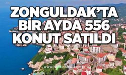 Zonguldak’ta bir ayda 556 konut satıldı