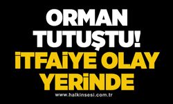 Orman tutuştu! İtfaiye olay yerinde