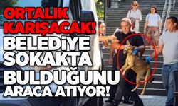 Ortalık karışacak! Belediye sokakta bulduğunu araca atıyor!