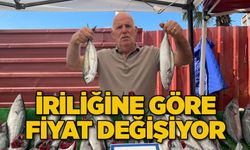 İriliğine göre fiyat değişiyor