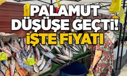 Palamut düşüşe geçti! İşte fiyatı