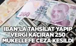 IBAN'la tahsilat yapıp vergi kaçıran 250 mükellefe ceza kesildi