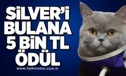 Silver’i bulana 5 bin TL ödül