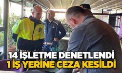 14 işletme denetlendi, 1 iş yerine ceza kesildi