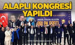 Alaplı kongresi yapıldı