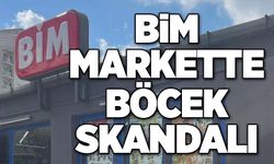 BİM markette böcek skandalı!