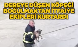 Dereye düşen köpeği boğulmaktan itfaiye ekipleri kurtardı