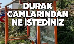 Durak camlarından ne istediniz