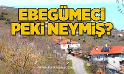 Ebegümeci peki neymiş?