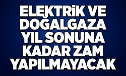 Elektrik ve doğalgaza yıl sonuna kadar zam yapılmayacak