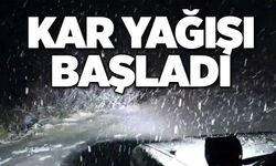 Kar yağışı başladı