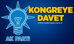 Kongreye davet