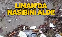 Liman’da nasibini aldı!