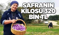 Safranın kilosu 320 bin TL