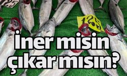 İner misin çıkar mısın?