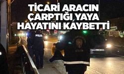 Ticari aracın çarptığı yaya hayatını kaybetti