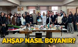 Ahşap nasıl boyanır?