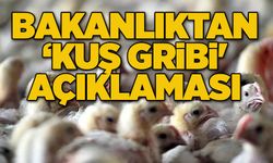 Bakanlıktan ‘kuş gribi' açıklaması