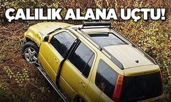 Çalılık alana uçtu!