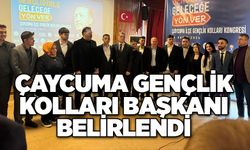 Çaycuma gençlik kolları başkanı belirlendi